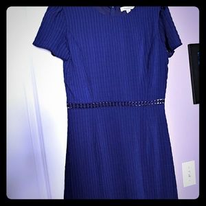 Flirty Francesca's Navy Dress